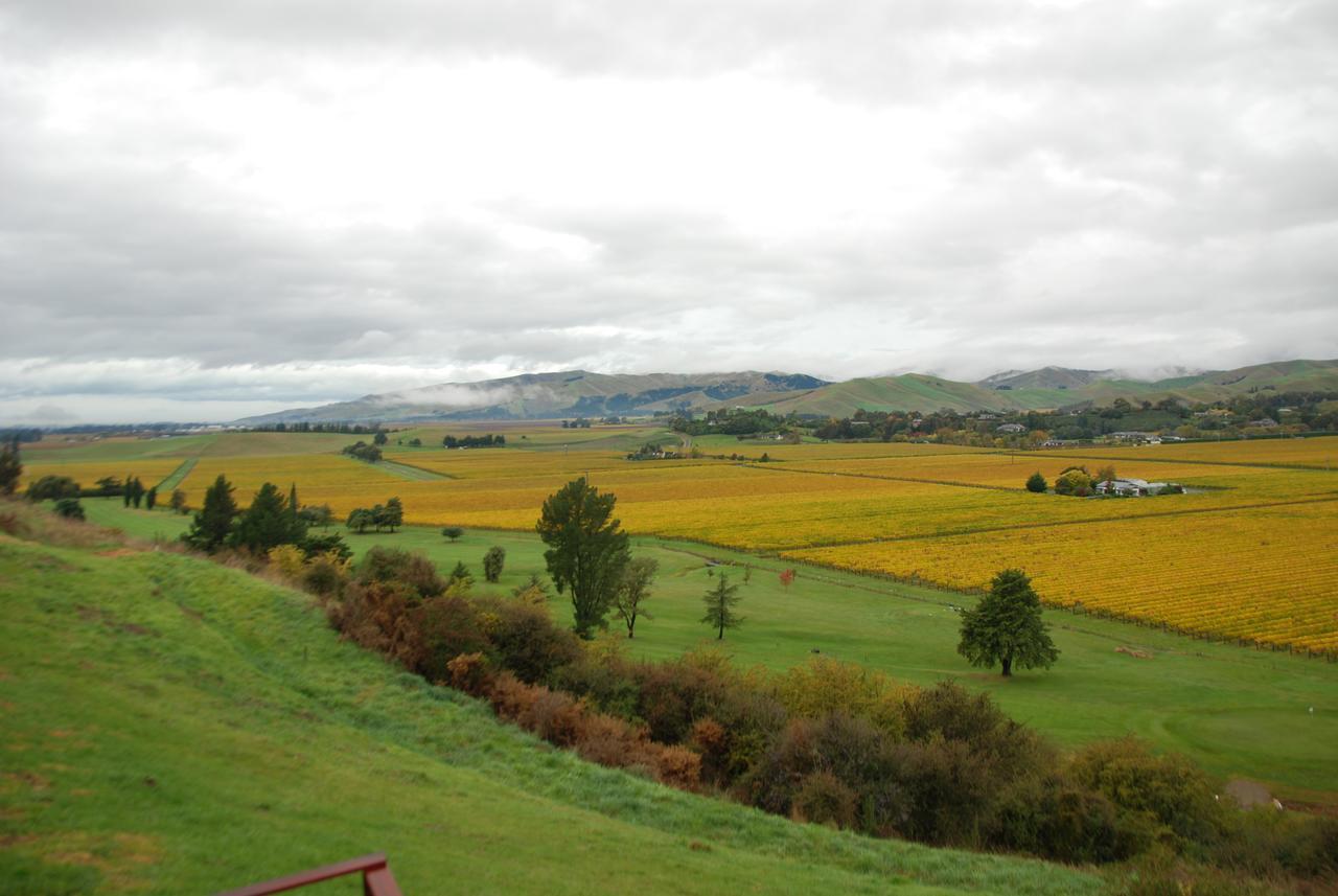 Infinityview B&B Blenheim Exteriör bild